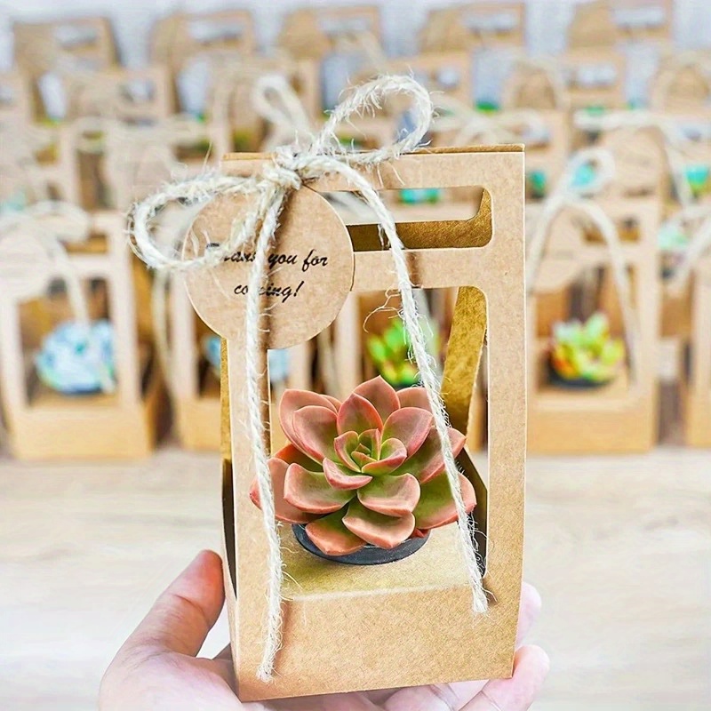 10 Zestawów Torebek na Sukulen – Flower Wrap Kraft recenzja i cena