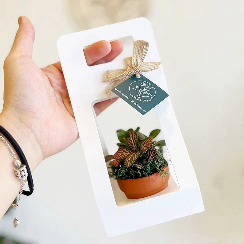 10 Zestawów Torebek na Sukulen – Flower Wrap Kraft recenzja i cena